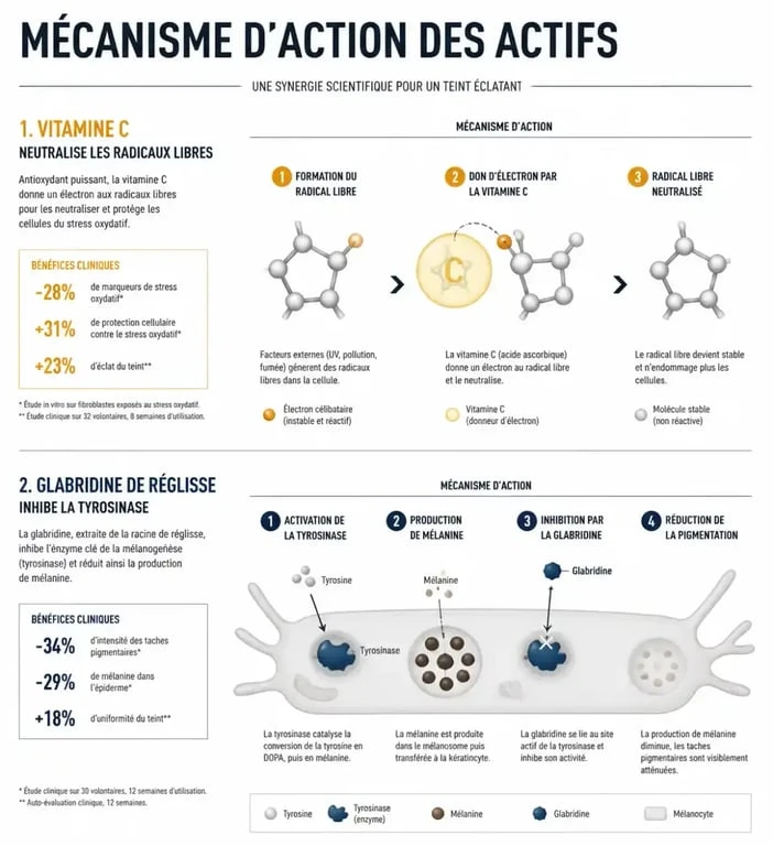 Mécanisme d'action des actifs dans une crème glow visage